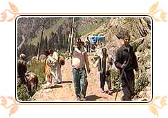 Amarnath Yatra 