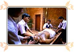 Ayurvedic Rejuvenation, Kerala