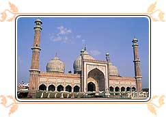 Jama Masjid Mosque, Old Delhi