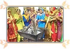 Lohri Festival