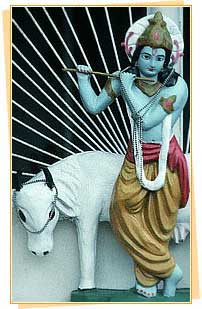 Lord Krishna