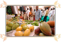 Mango Festival