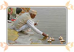 Pilgrim at Kumbh Mela Festival