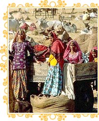 Pushkar Camel Fair