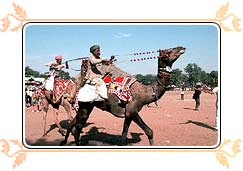 Camel Fair, Pushkar