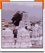  India State Temple