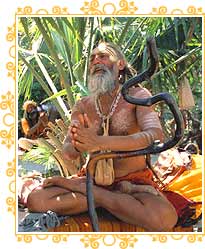 Rishikesh