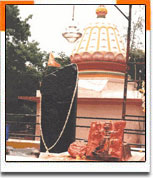 Shani Shinganapur