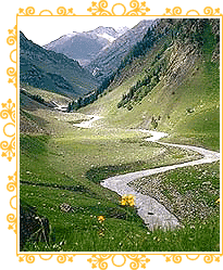 Jammu